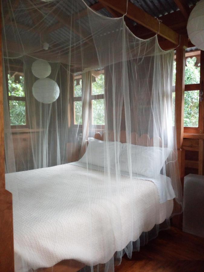 Casa De La Trepada Villa Коклес Екстериор снимка